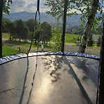 Swierkowy Zakatek U Bacy *