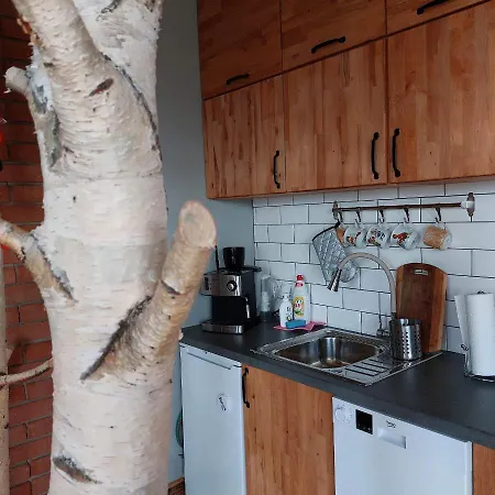 Swierkowy Zakatek U Bacy *