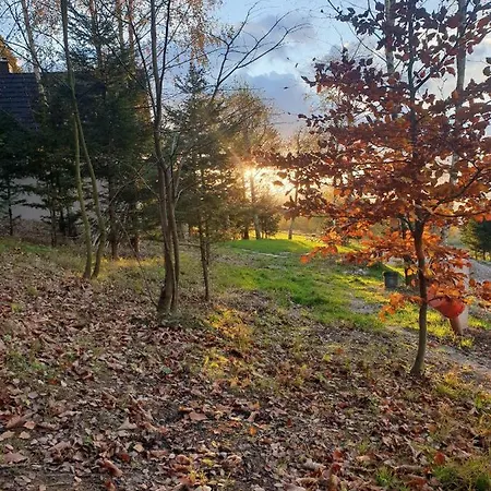 Holiday home Swierkowy Zakatek U Bacy