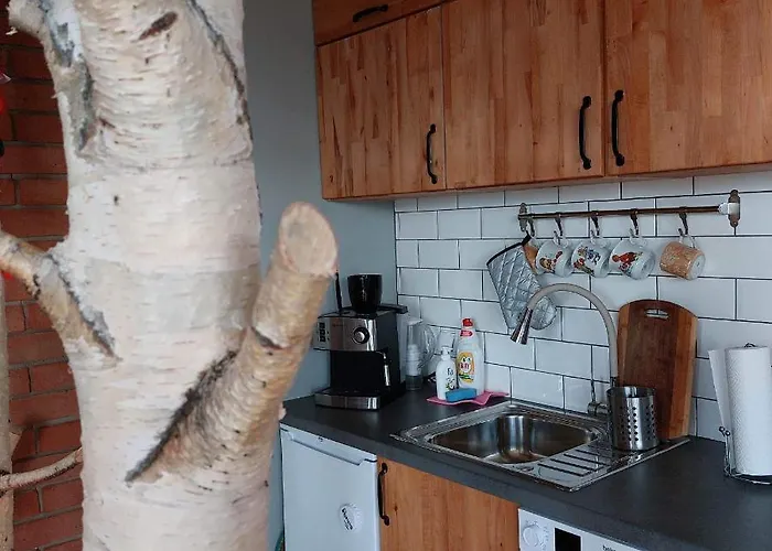 Swierkowy Zakatek U Bacy *