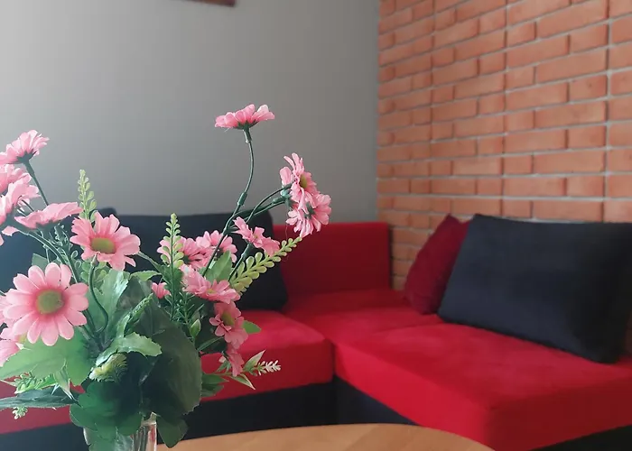 Swierkowy Zakatek U Bacy *