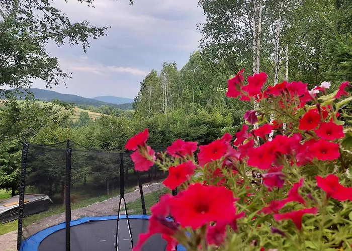 Swierkowy Zakatek U Bacy بيت للعطل